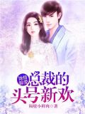 蚀情掠爱:总裁的头号新欢