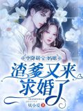 空降萌宝:妈咪,渣爹又来求婚了!