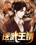 医武王婿
